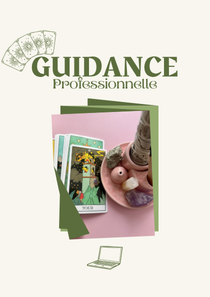 Guidance personnalisée - PROFESSIONNEL